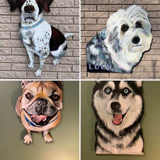 Pet Portraits cover
