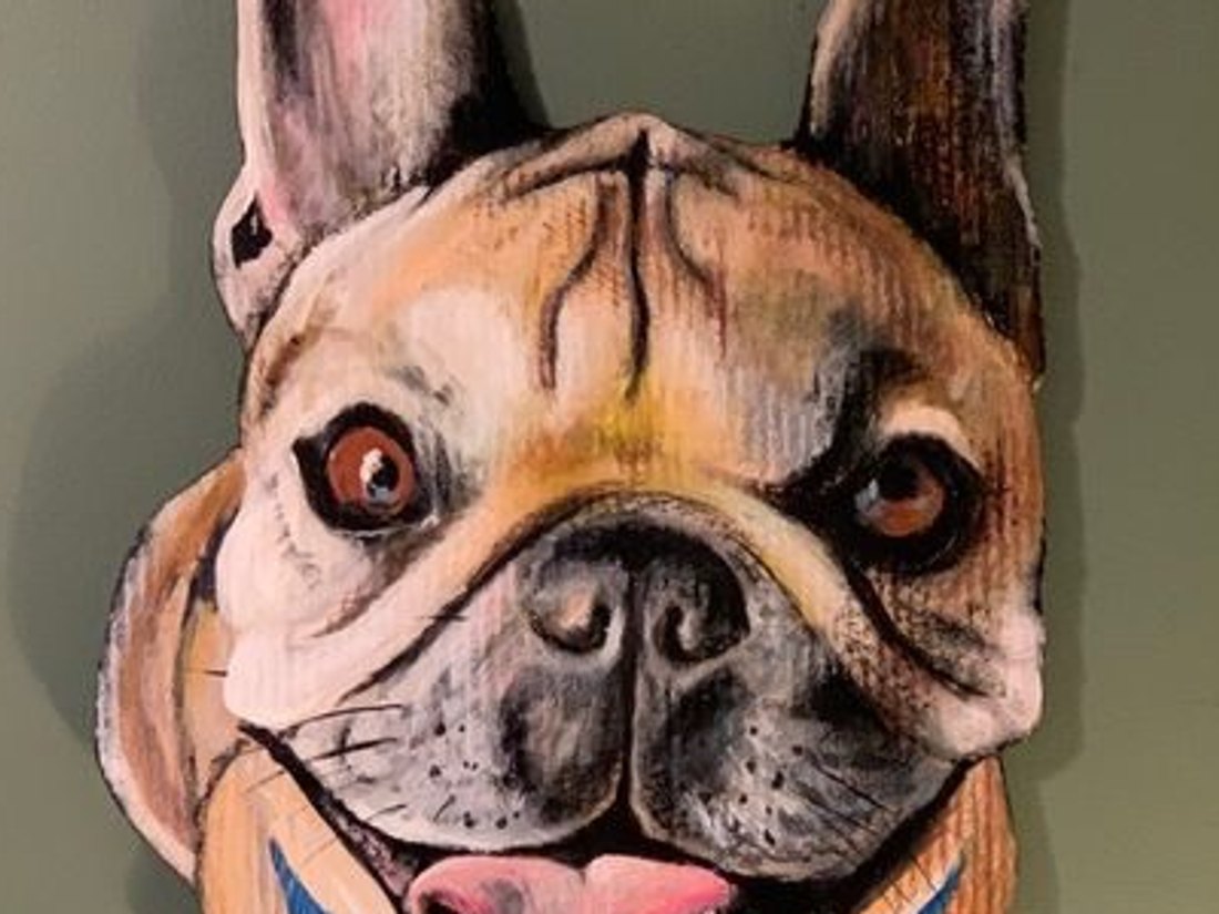 Pet Portraits cover